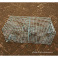Live Bird Trap Repeating Sparrow Control Trap Wire Cage Manufactory